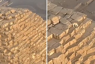 Dog Spotted on Top of the Great Pyramid of Giza