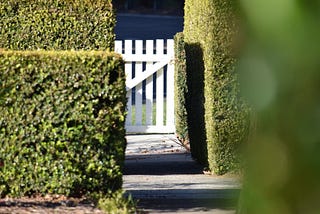 Is Laura Home Alone?