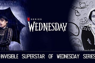 The Invisible Superstar of Wednesday, Colors in Storytelling , DOP, Hadis Malekie , Wafflensie