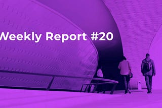 Weekly Report #20 🚀An important case: EVIS Data Marketplace takes a pivot