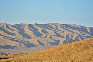 A False Catastrophe that Helped Me Escape a Real One