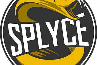 From underdogs to Worlds quarterfinalists — A year at Splyce