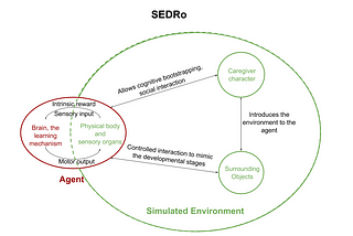 Paper review of SEDRo: A Simulated Environment for Developmental Robotics