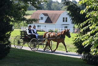 Should We Be 50% Amish?
