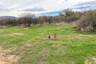 Unlikely Friendships at the Dog Park