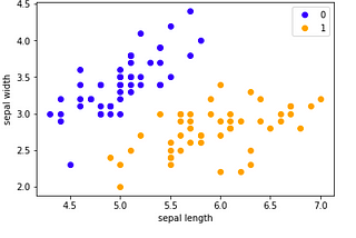 An Introduction to Perceptron Algorithm