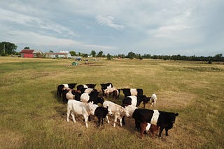 FARMING BEHIND THE FACADE