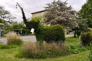 Clipped hedge in shape of elephant with elevated trunk with blossoms in background in Frederiksberg hospital grounds