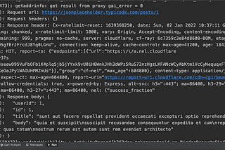 Logging network request in flutter app.