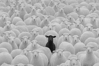 Stand Alone