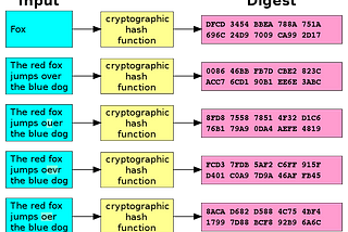 Linux Tool — Hash-Identifier