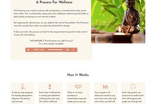 The wellness factory — A Mental Health app - Case Study