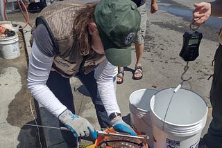 An angler’s guide to catch sampling