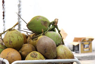 How to import coconuts into Canada?