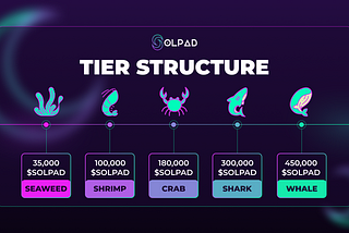 SolPad Tier Structure Breakdown