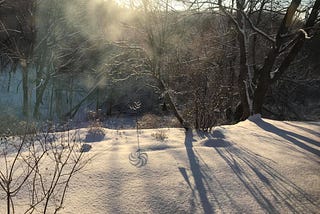 Sunrise shadows on a snowy back yard cast long and pretty shadows
