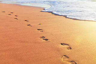 Understanding my digital footprints