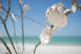 Building a Life Worth Living: Marsha M.