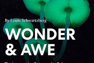 Wonder and Awe: New Podcast by Fantastic Fungi Director, Louie Schwartzberg