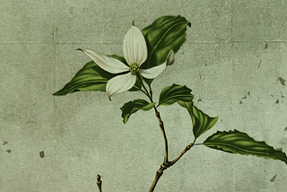 Japanese Dogwood oil painting by Mae Hisanori