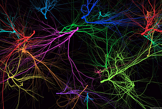 Drawing Neurons From Sound And Music In Real Time