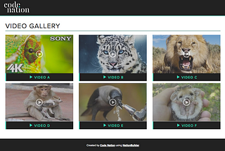 Add a Video Gallery on NationBuilder websites