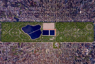 Central Park Transformation: 5 Key Learnings