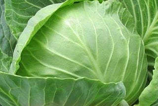 100+ Best vegetables name in Hindi and English pdf