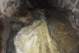 Water rushes over natural bedrock in the Brewery Creek tunnel behind the East Hillside Co-op.