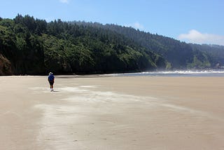 The Mists of Oregon