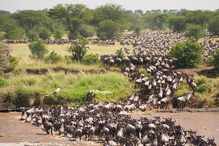 SERENGETI NATIONAL PARK