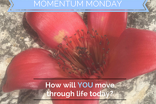 Monday Mojo and Motivation