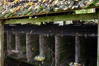 Minnesota Fox Farm Confirmed Closed