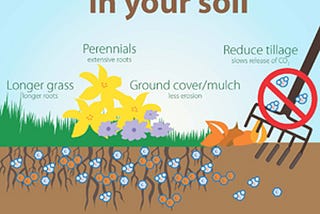 CDR deep dives: Soil carbon sequestration