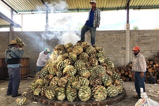 A man stands on top of a pile of roasting agaves while three other men add more to the pile