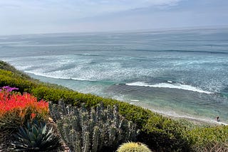 The Pacific Ocean shown from atop a cliff, with cacti and flowers in the foreground.