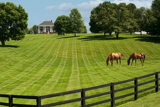 Benefits of Acreage Mowing