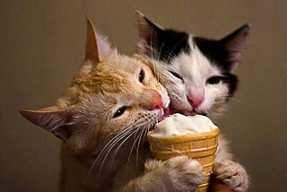 What ice cream can a cat eat?