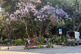 The Many Joys of Mexico City
