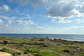 Paphos through Pictures