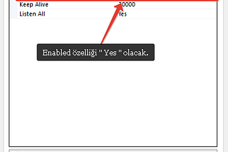 Local Ağda MSSQL Server Erişimi