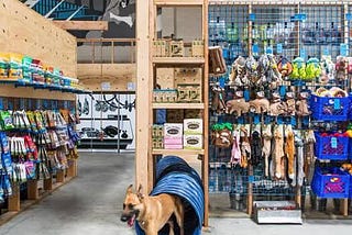 🐾 Revolutionizing Pet Store Management: How AI is Changing the Game 🐾