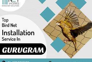 Pigeon Net for Balcony Installation in Gurugram