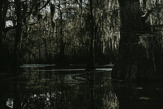 The Bayou Strangler- A Decade of Terror in Louisiana