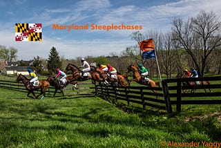 Maryland Steeplechases