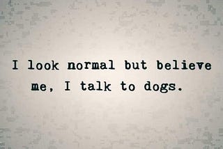 Sometimes the best conversations I have are with my dogs…