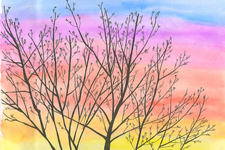Drawing of treetops in the sunset