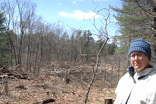 Spring, Destruction and More Surveillance Come to Camp White Pine
