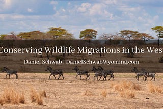 Conserving Wildlife Migrations in the West