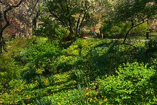 Natural NYC: 3 NYC Parks Where Manhattan Meets the Great Outdoors